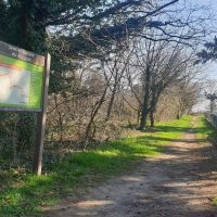 Micro creche les mimidoux saint priest- Le Petit Bois (9)